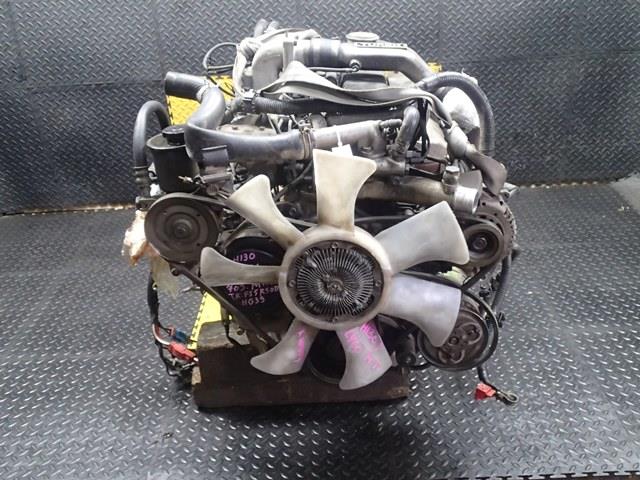 Двигатель Ниссан Сафари в Славгороде 95493